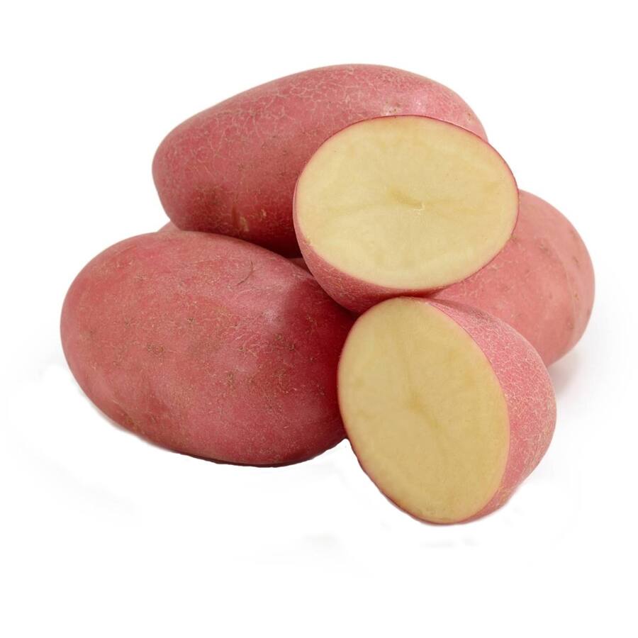 Fresh Vegetable Potatoes Red Washed