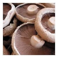 Fresh Vegetable Mushrooms Portobello
