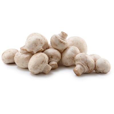 fresh vegetable mushrooms white button