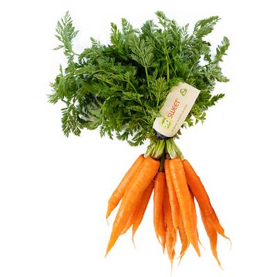 fresh vegetable carrots bunch