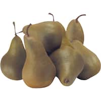 Fresh Fruit Standard