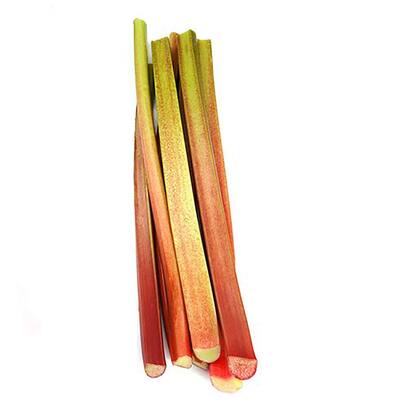 fresh vegetable rhubarb bunch