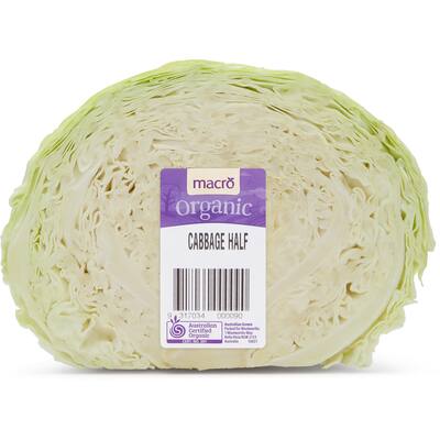 fresh vegetable cabbage green half organic