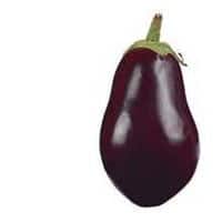 Fresh Vegetable Eggplant
