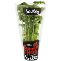 Fresh Herb Standard