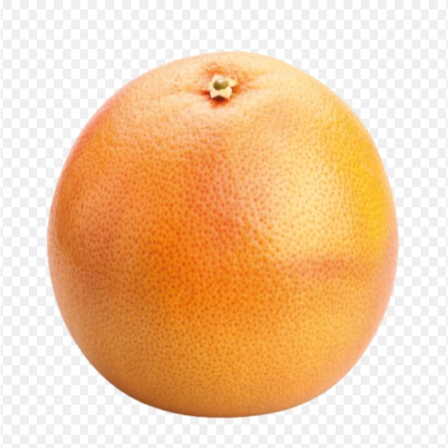Fresh Fruit Grapefruit