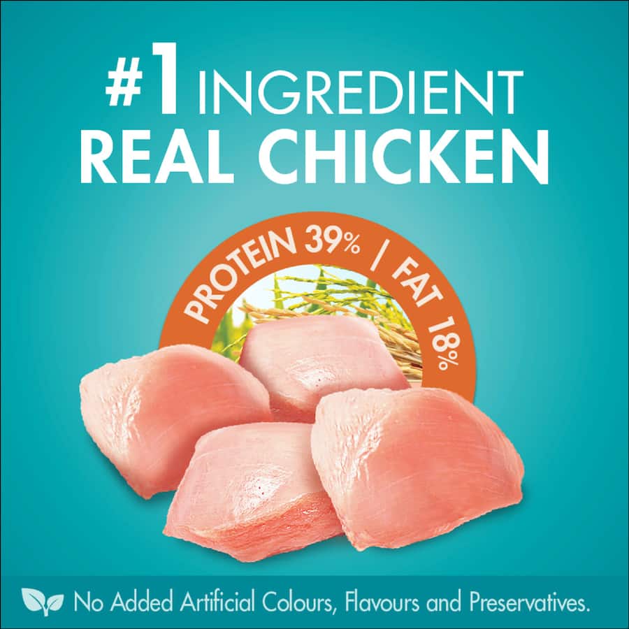 Buy Purina One Coat Hairball Dry Cat Food Chicken online at