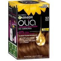Garnier Olia Hair Colour Golden Brown 5.3