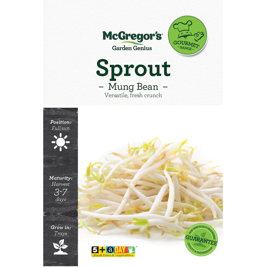 Mcgregors Sprout Vegetable Seeds Mung Bean