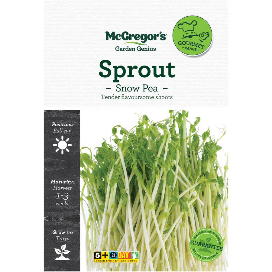 Mcgregors Sprout Vegetable Seeds Snow Pea