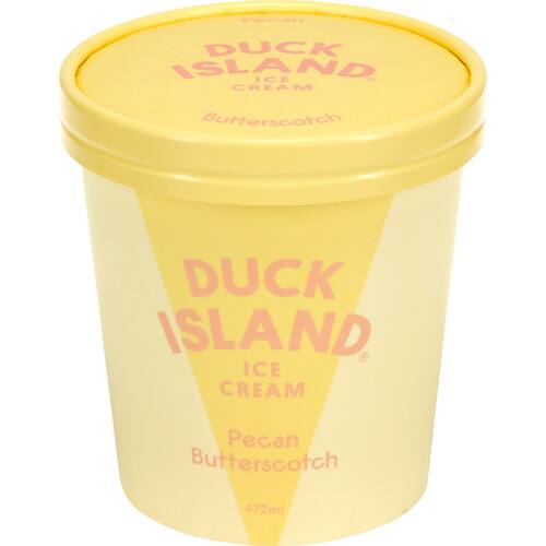 Duck Island Ice Cream Pecan Butterscotch