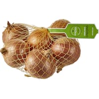 fresh vegetable onions organic