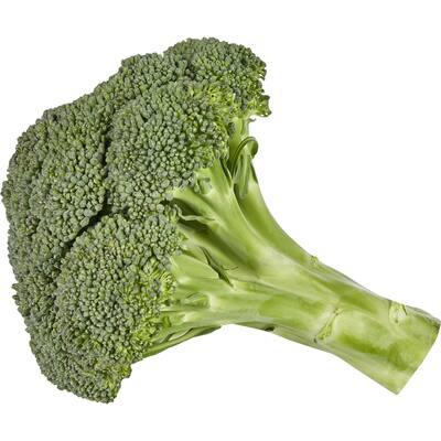 fresh vegetable broccoli head