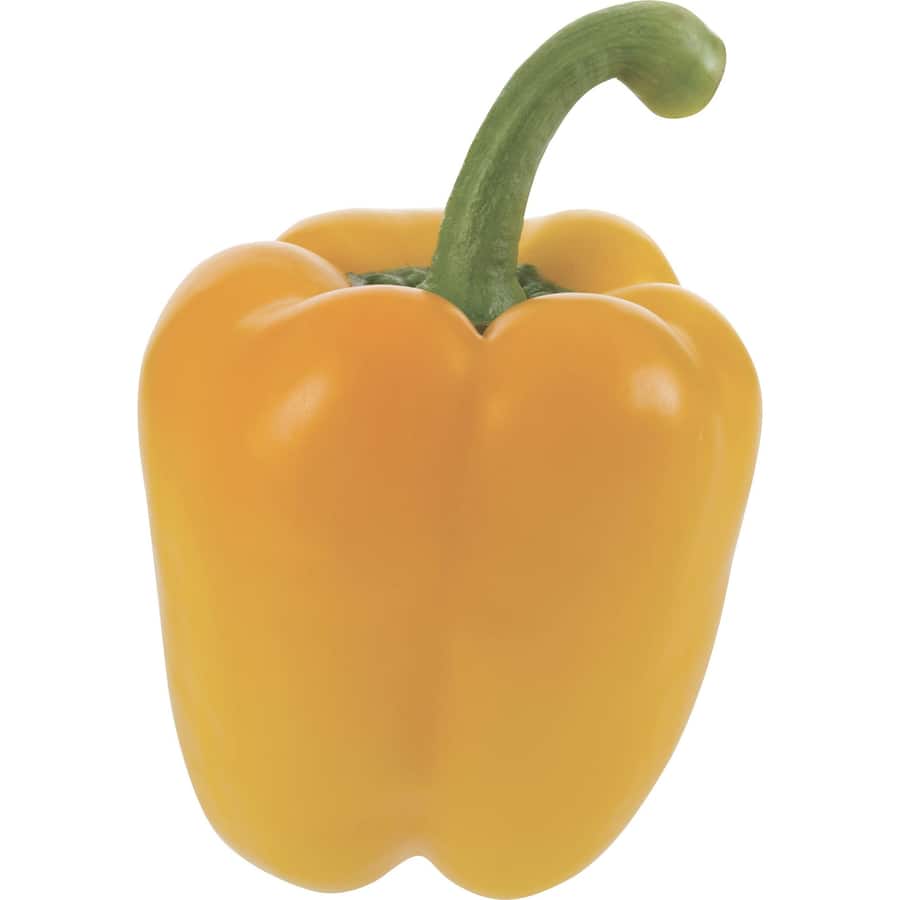 Fresh Vegetable Capsicum Yellow