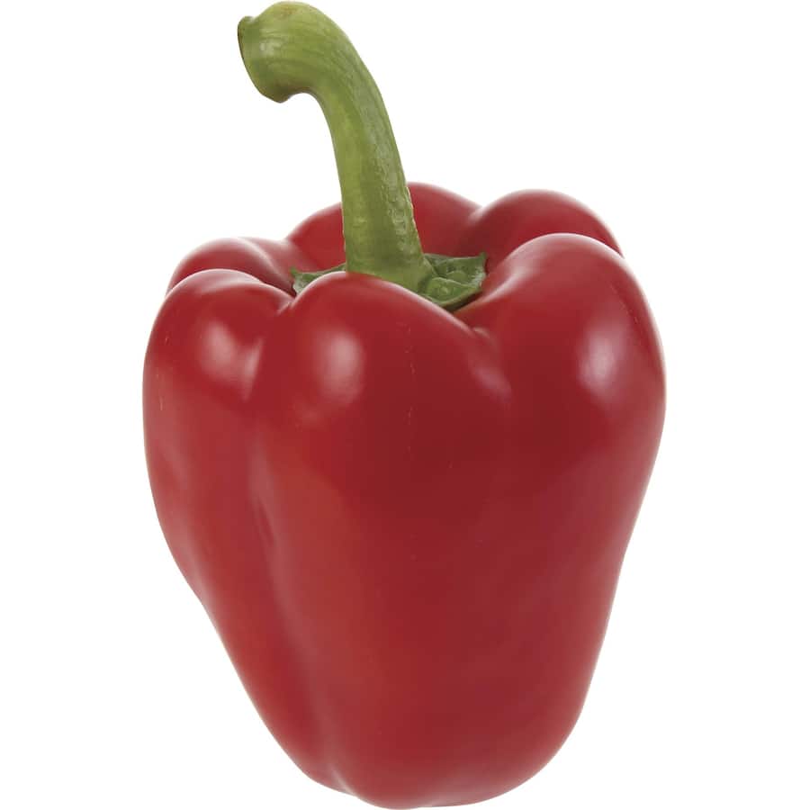 Fresh Vegetable Capsicum Red