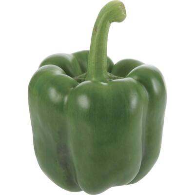 fresh vegetable capsicum green
