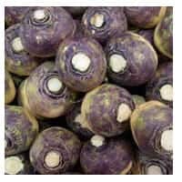 Fresh Vegetable Swede