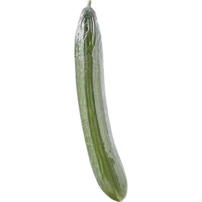 fresh vegetable cucumbers telegraph