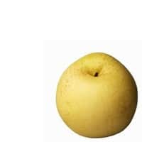 Fresh Fruit Pears Nashi
