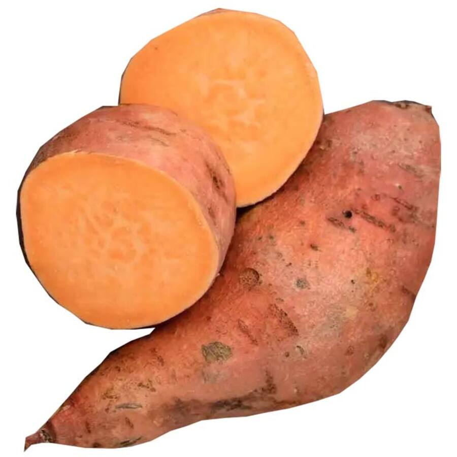Fresh Vegetable Kumara Orange