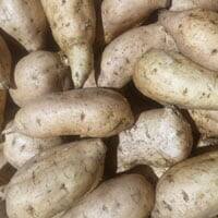 Fresh Vegetable Kumara Gold