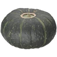 Fresh Vegetable Standard