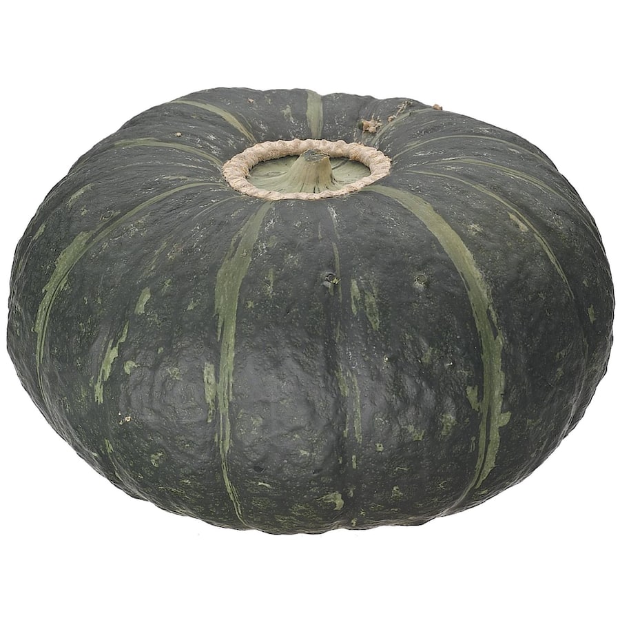 Fresh Vegetable Squash Buttercup Whole