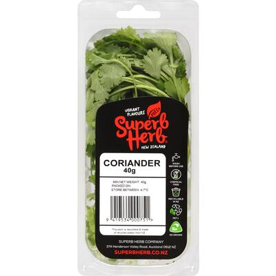 fresh herb coriander 