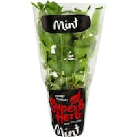 Fresh Herb Standard