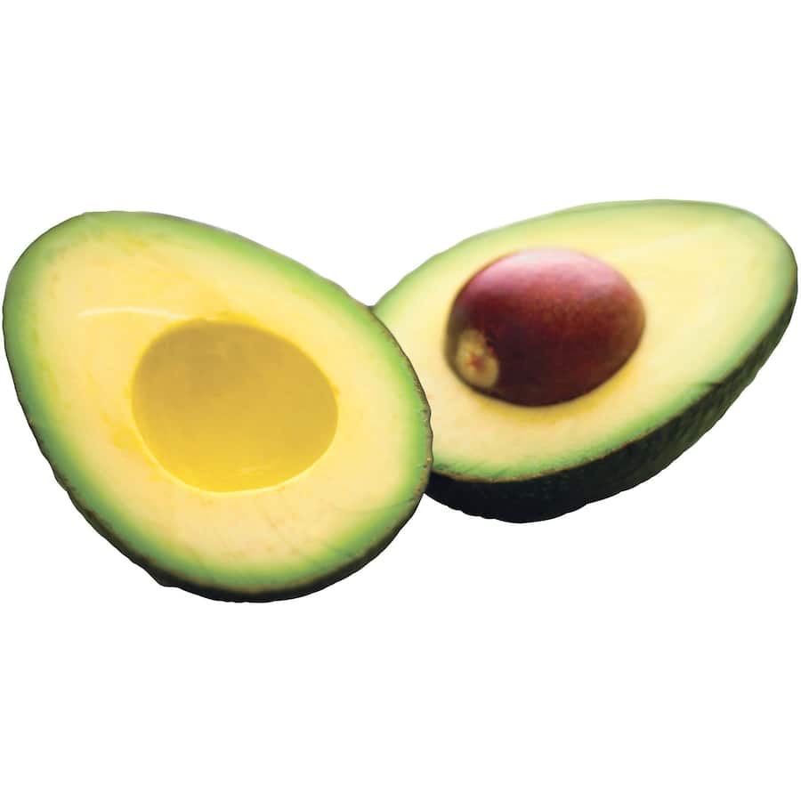Fresh Avocado Pre-Ripened