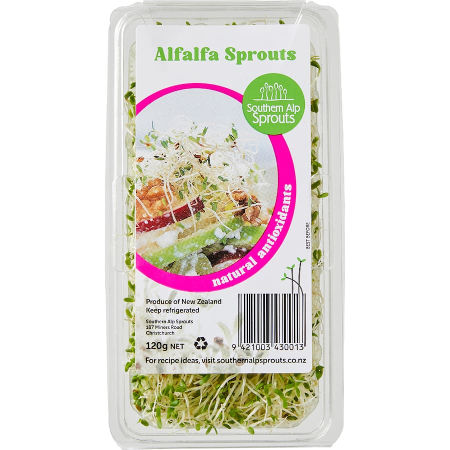 Fresh Vegetable Sprouts Alfalfa