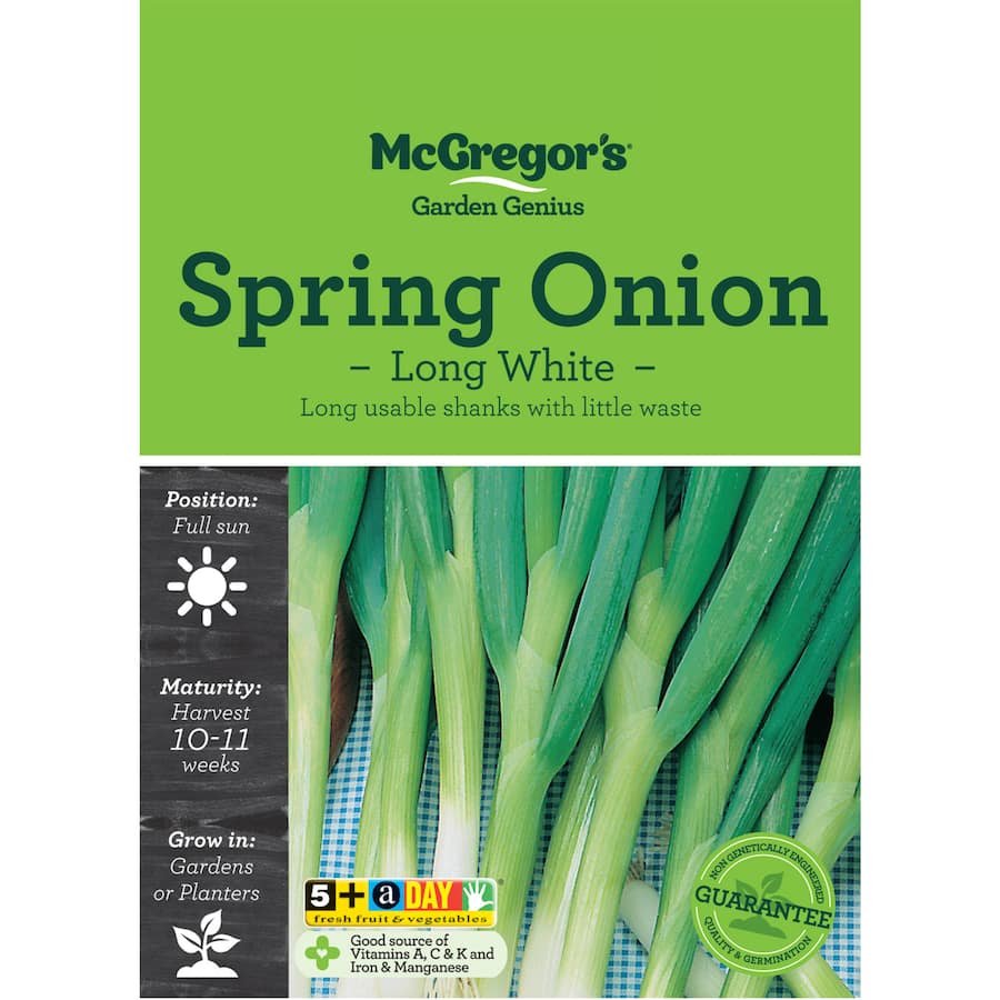 Mcgregors Vegetable Seeds Spring Onion Long White