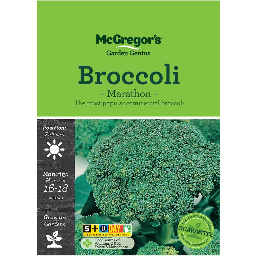 Mcgregors Vegetable Seeds Broccoli Marathon Hybrid