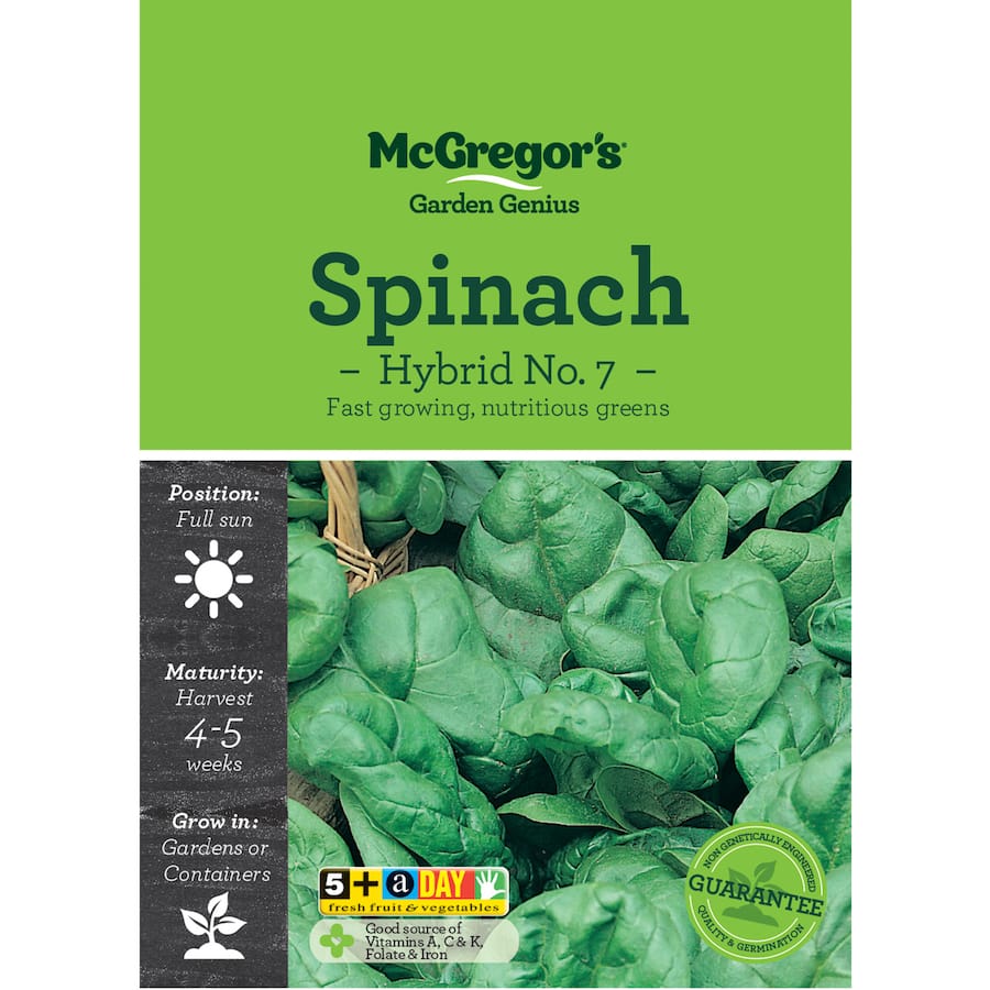Mcgregors Vegetable Seeds Spinach Hybrid # 7
