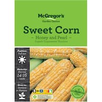 McGregors Standard
