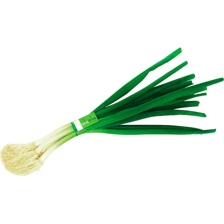 Fresh Vegetable Spring Onions
