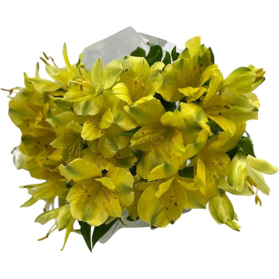 Fresh Flowers Alstroemerias