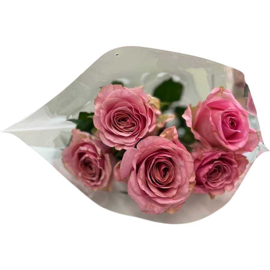 Fresh Flowers Roses