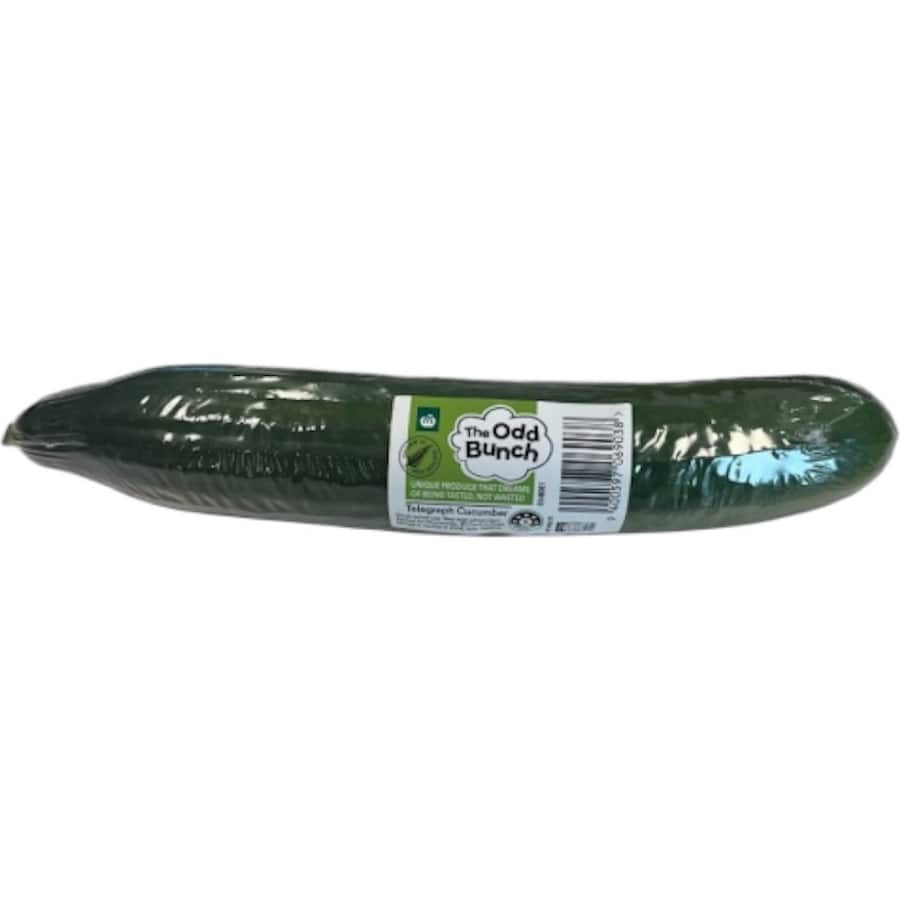 Woolworths Cucumber Telegraph Odd Bunch