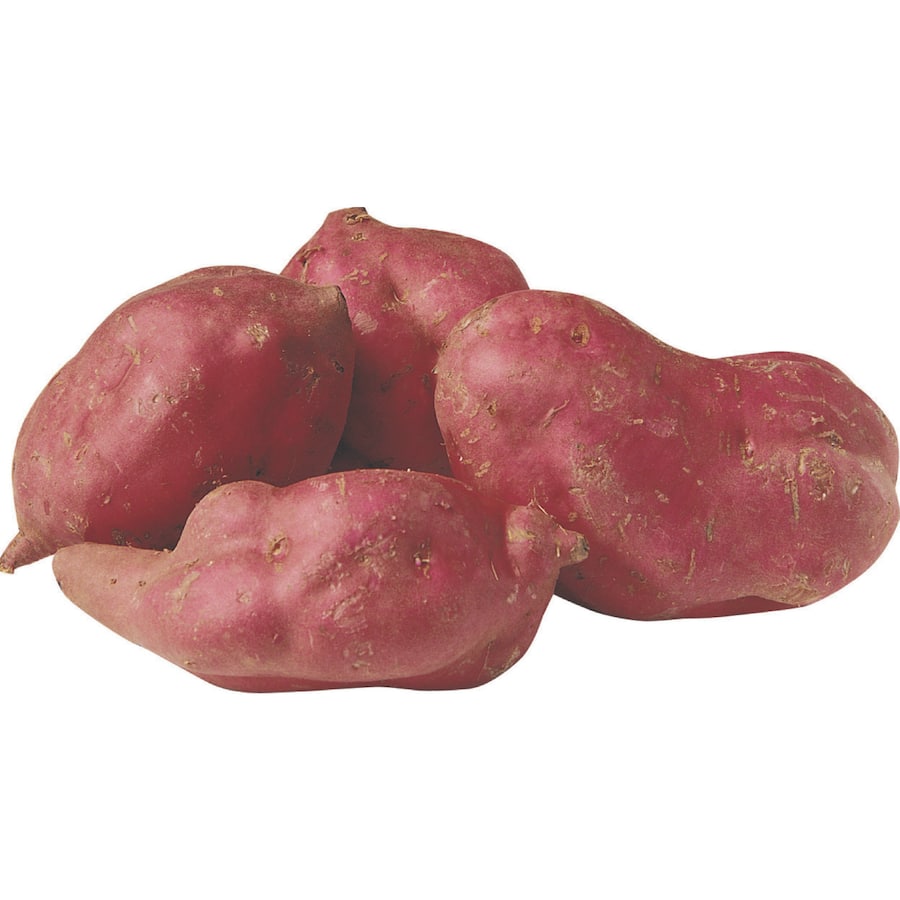 Woolworths Fresh Kumara Red Loose Everyday