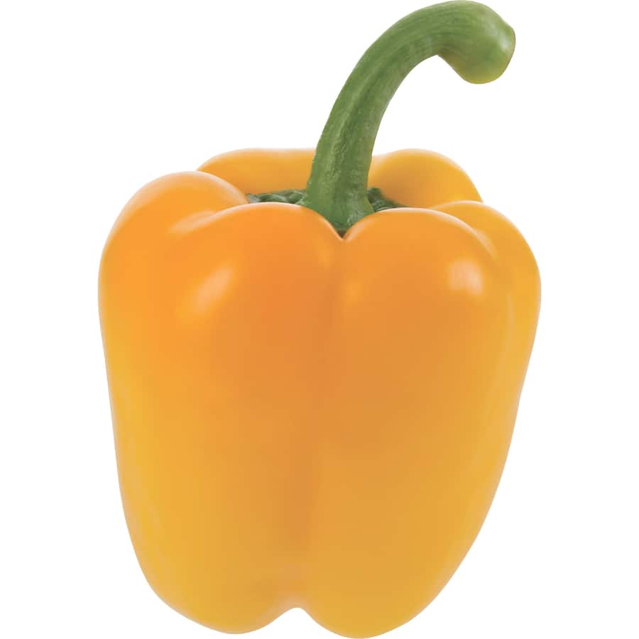 Fresh Vegetable Capsicums Yellow Everyday Loose