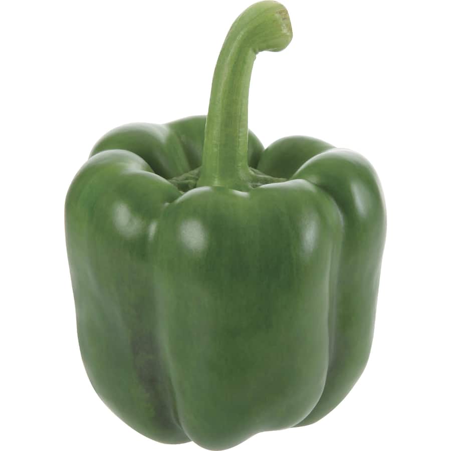 Fresh Vegetable Capsicums Green Everyday Loose