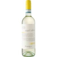 Pasqua Pinot Grigio