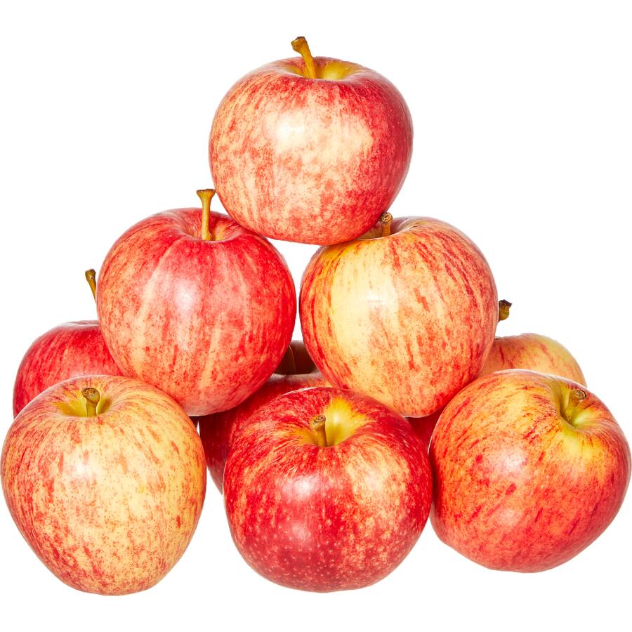 Fresh Fruit Apples Royal Gala