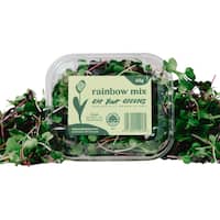Eat Your Greens Rainbow Mix Microgreens