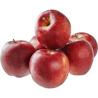 Fresh Fruit Standard