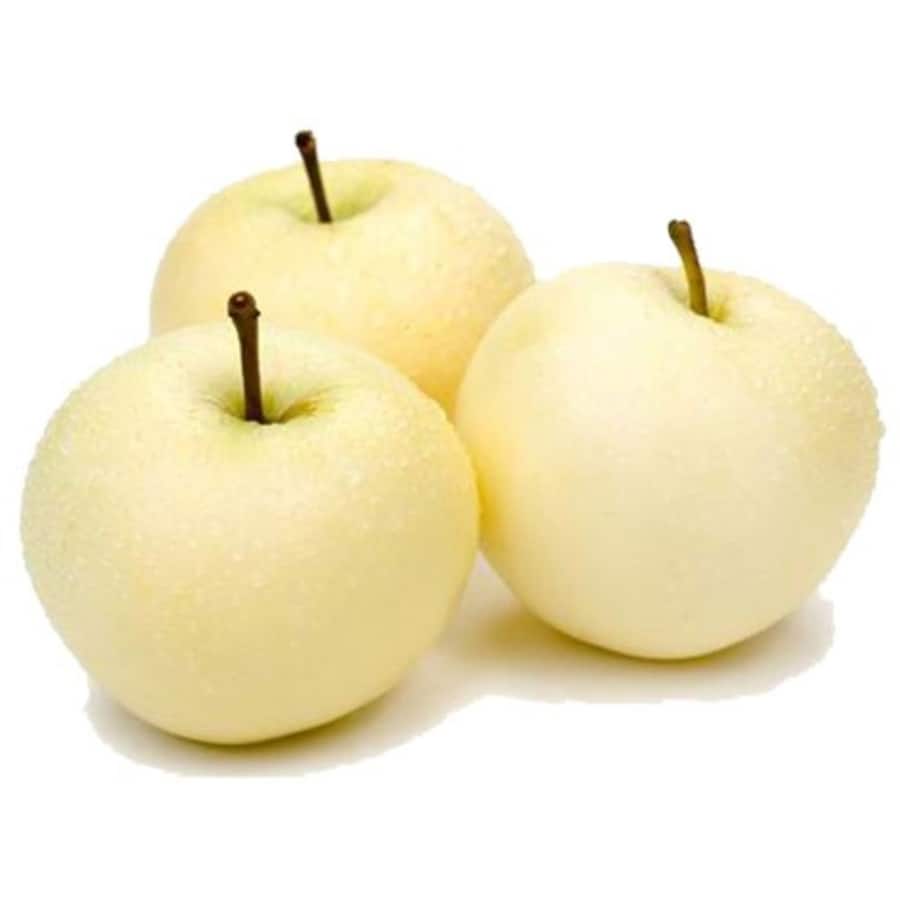 Fresh Fruit Pears White Nashi Imported