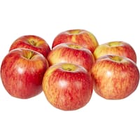 Fresh Fruit Standard