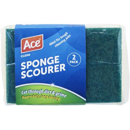 Ace Scourer Sponge