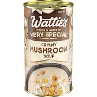 Wattie's Very Special 520g